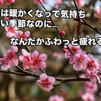 画像273