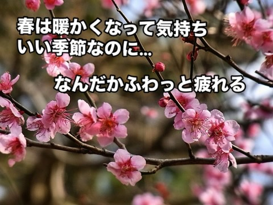 画像273