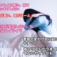 画像274