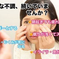 画像278