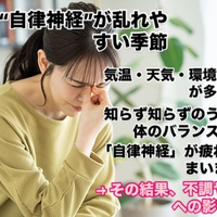 画像279