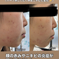 画像381