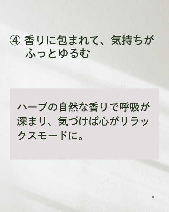 画像391