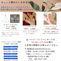 画像446