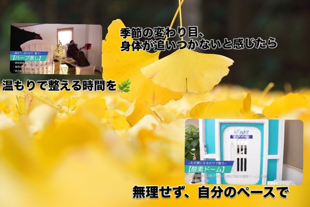 画像478