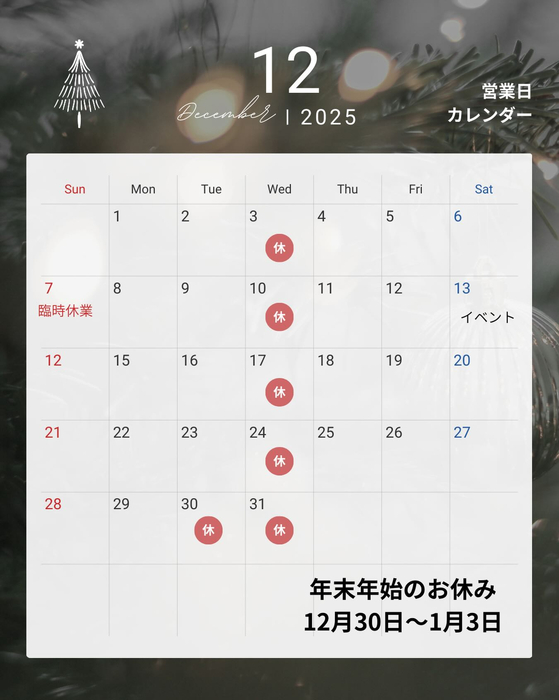画像488