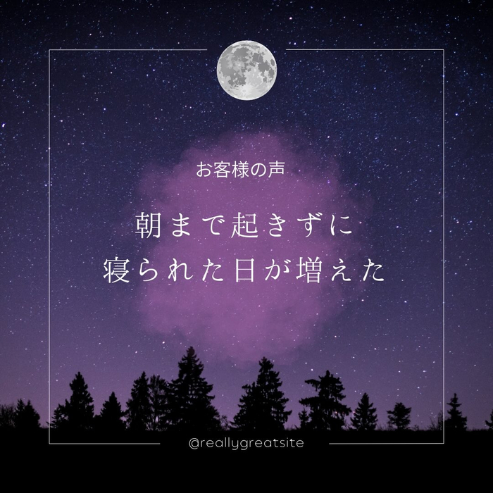 画像548