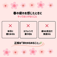 画像556