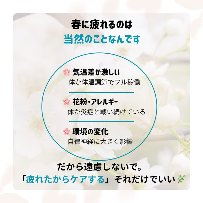 画像562