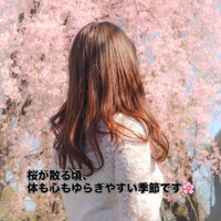 画像584