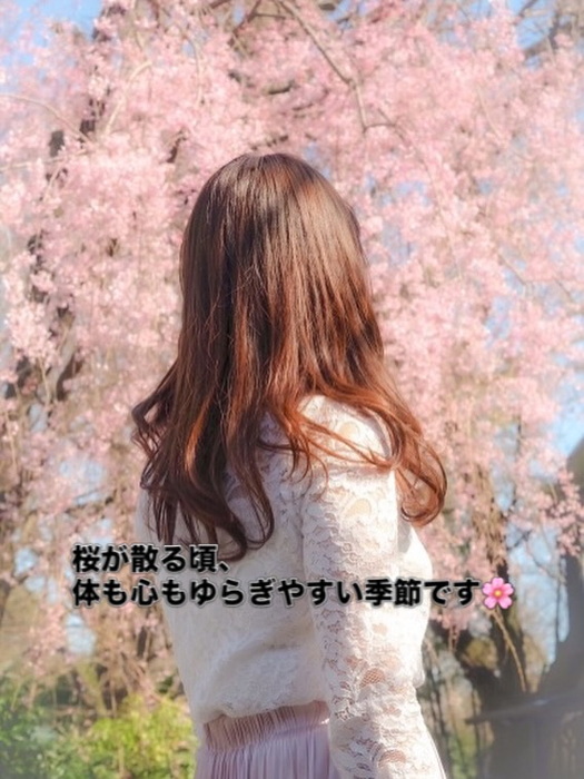 画像584