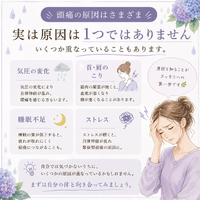 画像682